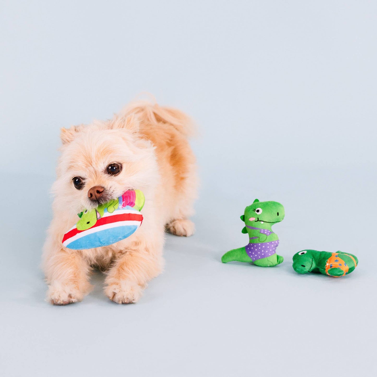 RAWRIN SUMER 3 PIECE SMALL DOG TOY SET