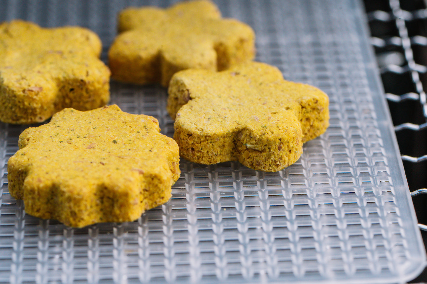 Yam Yam Treats Co Freeze-Dried Dog Treats : Gourd Vibes