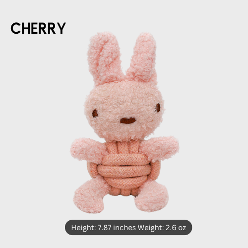 Handmade Dog Plush and Squeaky Rope Toys| Sustainable