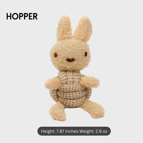 Handmade Dog Plush and Squeaky Rope Toys| Sustainable