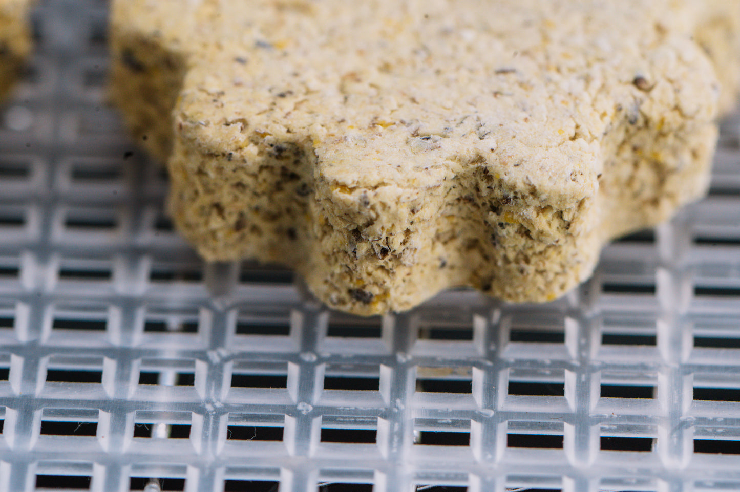 Yam Yam Treats Co Freeze-Dried Dog Treats : Mmm...Yammy